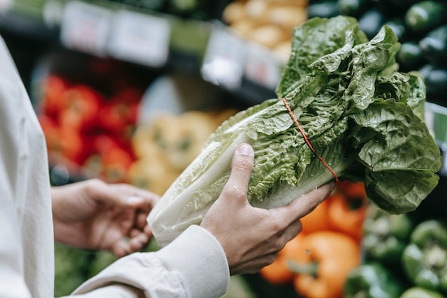 grocery shopper hands holding romaine lettuce